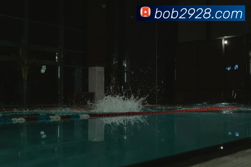 bob半岛官方网站品牌故事